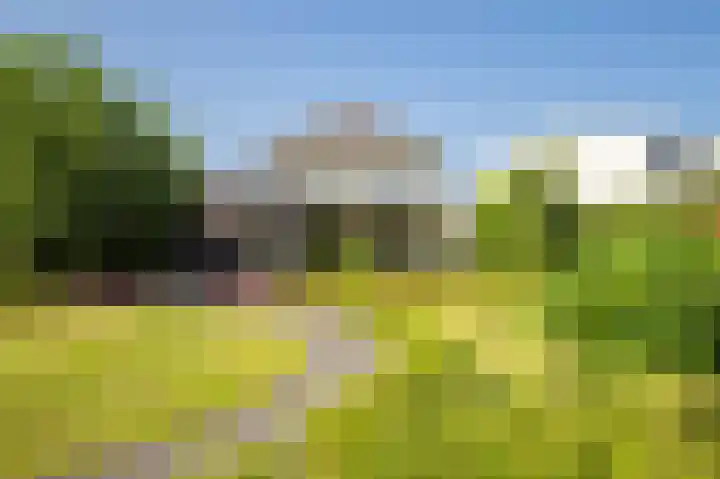 Op de Rooter 7 Susteren thumbnail 32