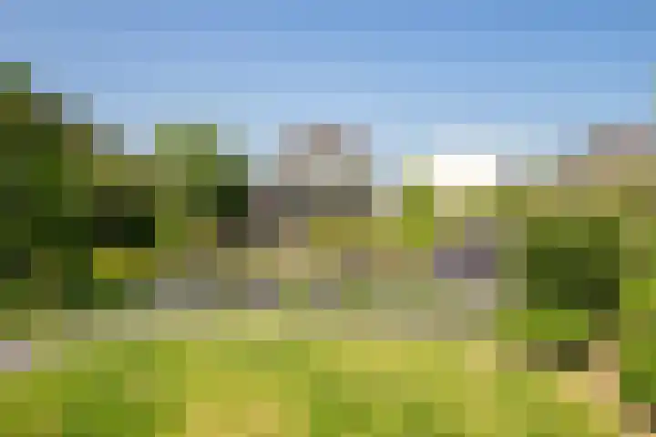 Op de Rooter 7 Susteren thumbnail 33