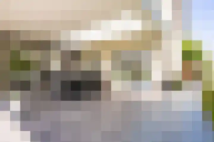 Op de Rooter 7 Susteren thumbnail 34