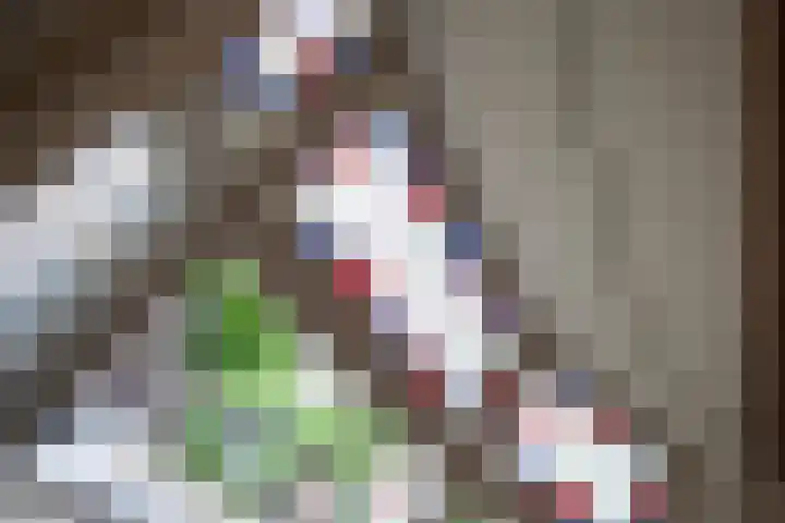 Op de Vey 54 Geleen thumbnail 12