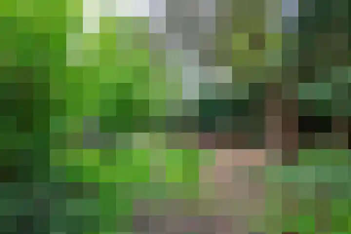 Op de Vey 54 Geleen thumbnail 45