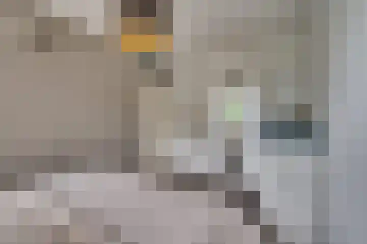 Op den Akker 61 Venlo thumbnail 11