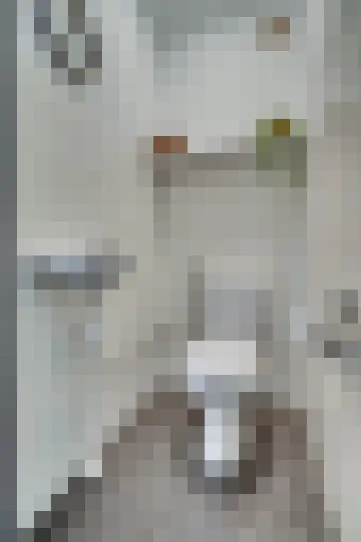 Op den Akker 61 Venlo thumbnail 14