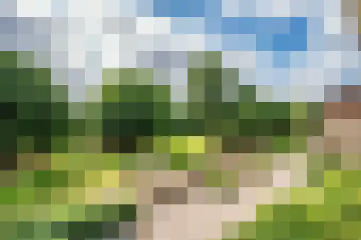 Op den Akker 61 Venlo thumbnail 16