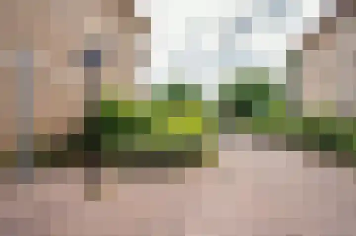 Op den Akker 61 Venlo thumbnail 20