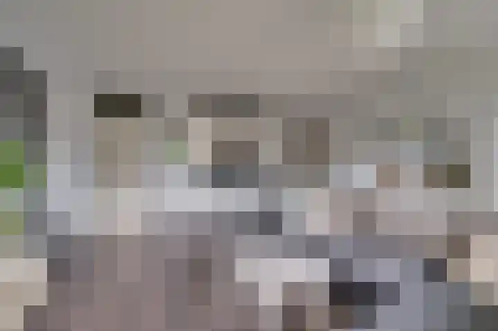 Op den Akker 61 Venlo thumbnail 6