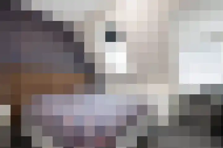Op den Hof 5 Olst thumbnail 16