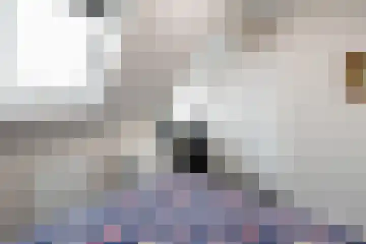 Op den Hof 5 Olst thumbnail 18