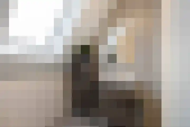Op den Hof 5 Olst thumbnail 21