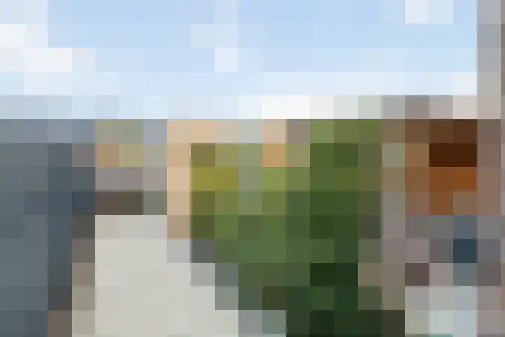 Op den Hof 5 Olst thumbnail 27