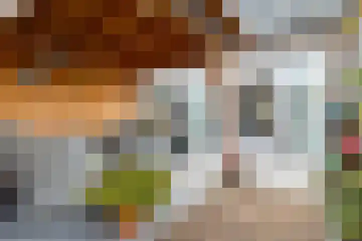 Op den Hof 5 Olst thumbnail 30