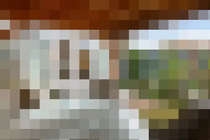 Op den Hof 5 Olst thumbnail 31