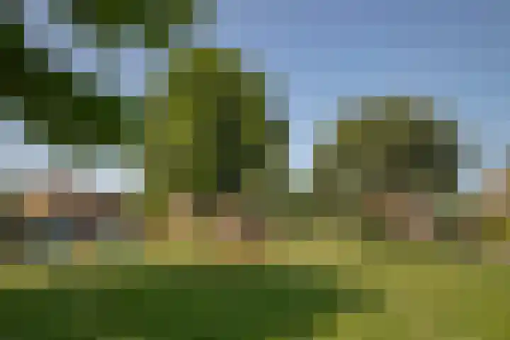 Op het Bergske 24 Landgraaf thumbnail 22