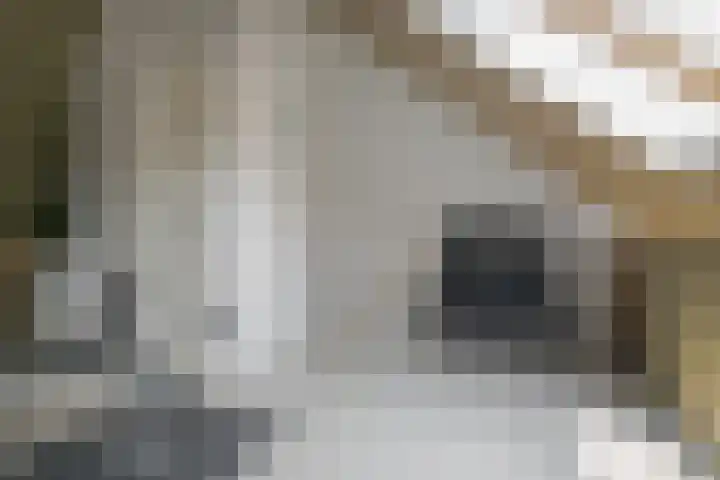 Op het Veld 10 Heerde thumbnail 40