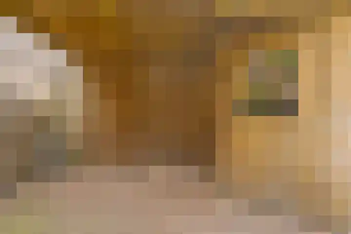 Op het Veld 10 Heerde thumbnail 49