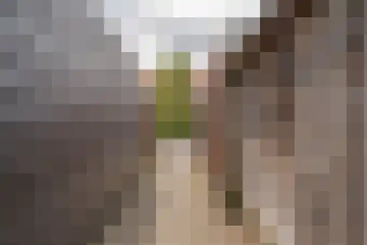 Op het Veld 10 Heerde thumbnail 50