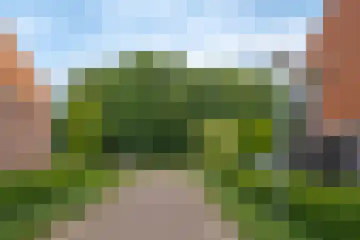Op het Veld 10 Heerde thumbnail 7