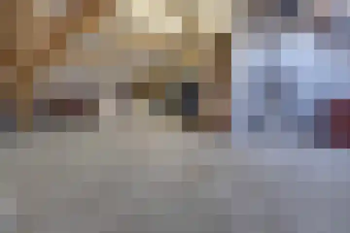 Op Koye 27 Susteren thumbnail 34