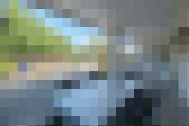 Op Koye 27 Susteren thumbnail 35