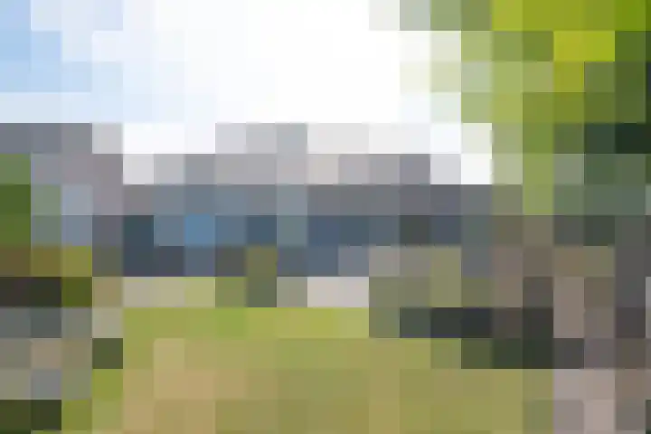 Op Koye 27 Susteren thumbnail 37