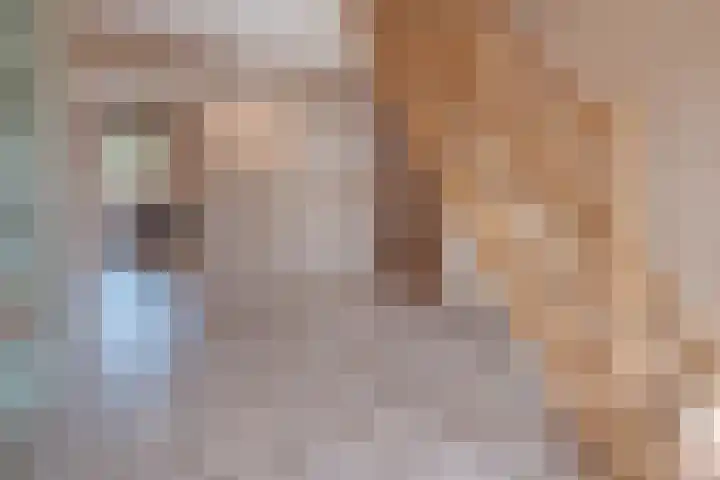 Op Koye 27 Susteren thumbnail 4