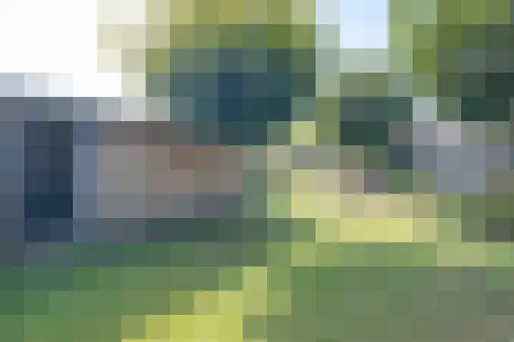 Op Koye 27 Susteren thumbnail 40