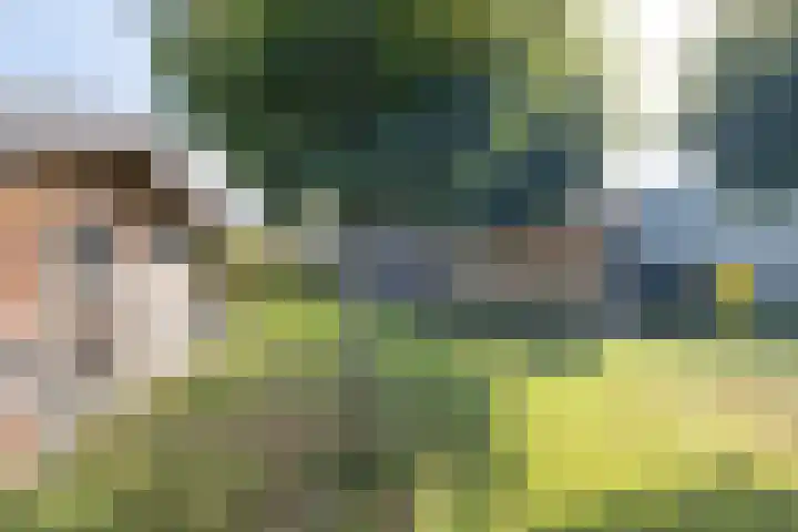 Op Koye 27 Susteren thumbnail 41