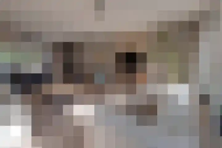 Op Koye 27 Susteren thumbnail 6