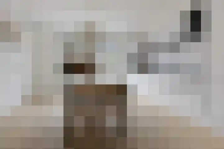 Op Stee 20 Assen thumbnail 13