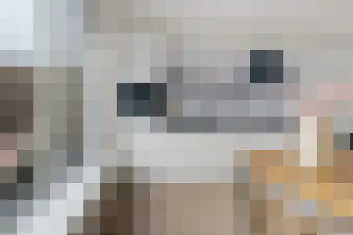 Op Stee 20 Assen thumbnail 15