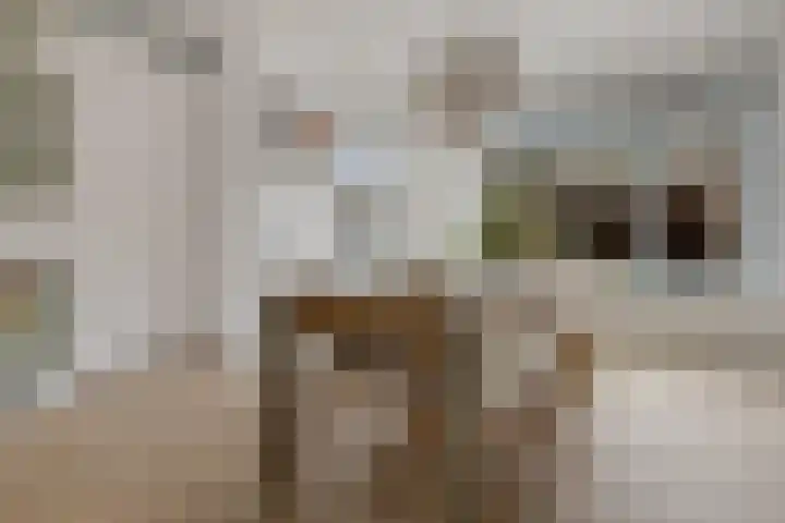 Op Stee 20 Assen thumbnail 18