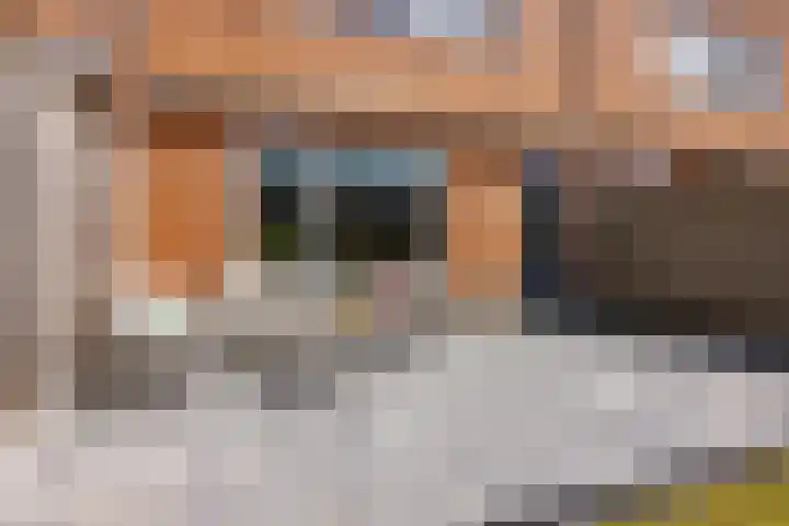 Op Stee 20 Assen thumbnail 22