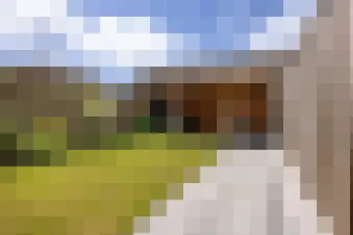 Op Stee 20 Assen thumbnail 25