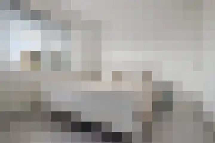 Op Stee 20 Assen thumbnail 33