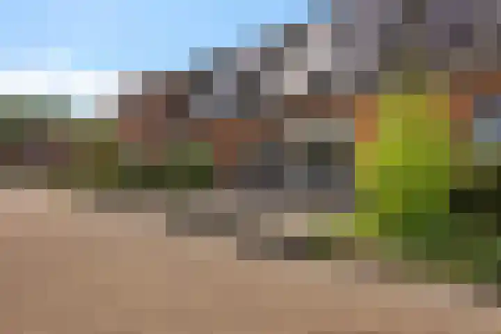 Op Stee 20 Assen thumbnail 47