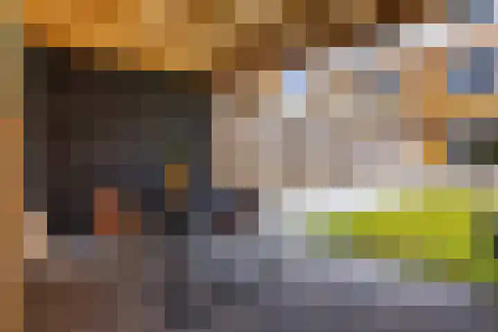 Op Stee 20 Assen thumbnail 5