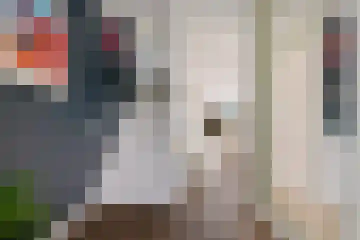 Op Stee 20 Assen thumbnail 9