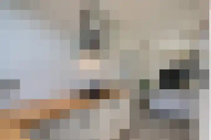 Opaalhof 5 IJsselstein thumbnail 14