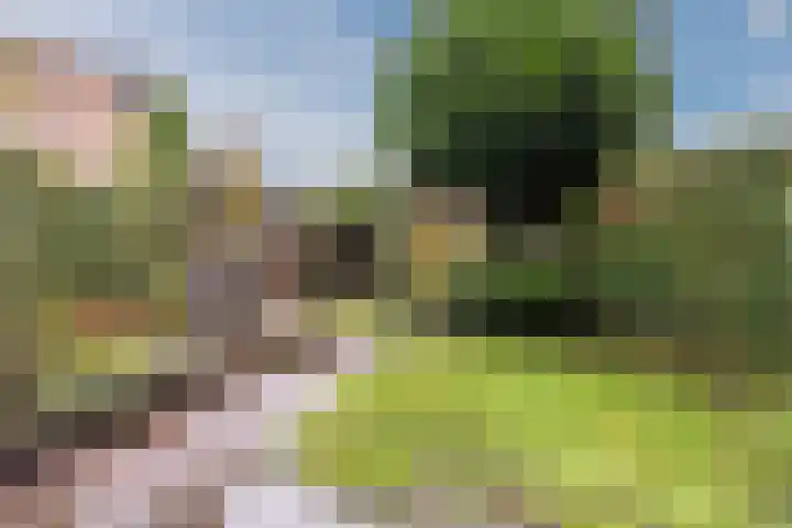 Opaalstoep 73 Assen thumbnail 33