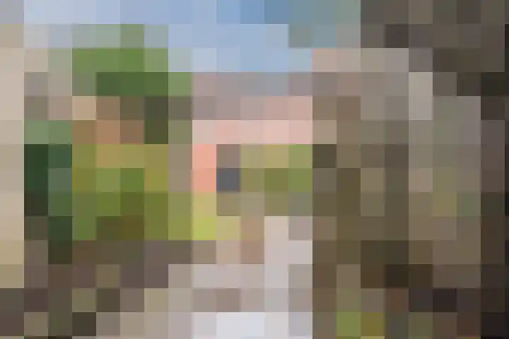 Opaalstoep 73 Assen thumbnail 37