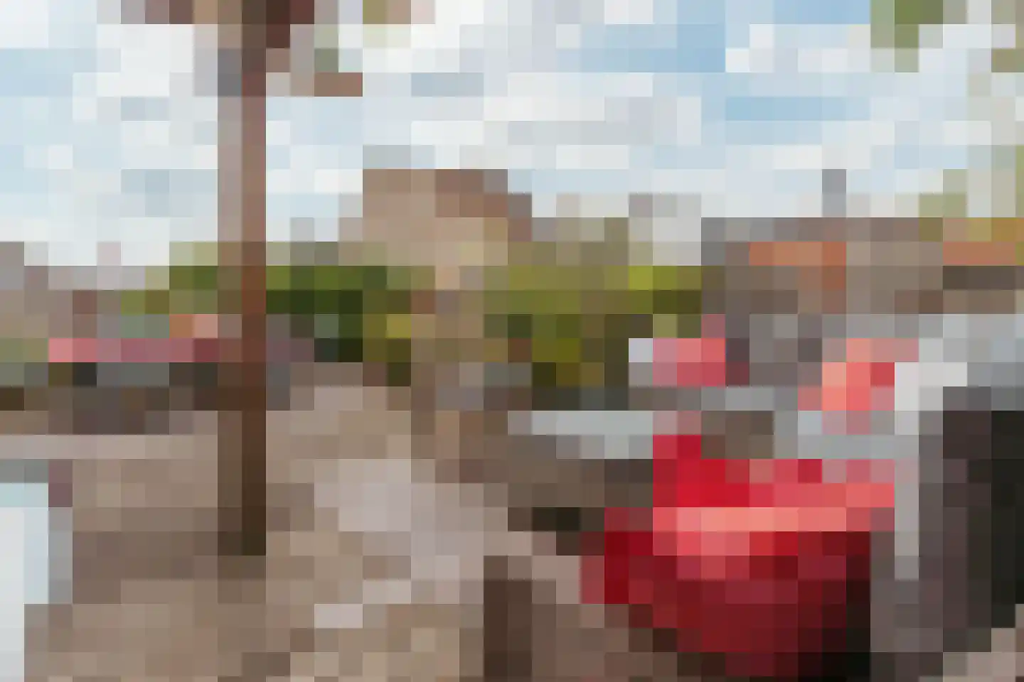 Opaalweg 36 Oss thumbnail 12
