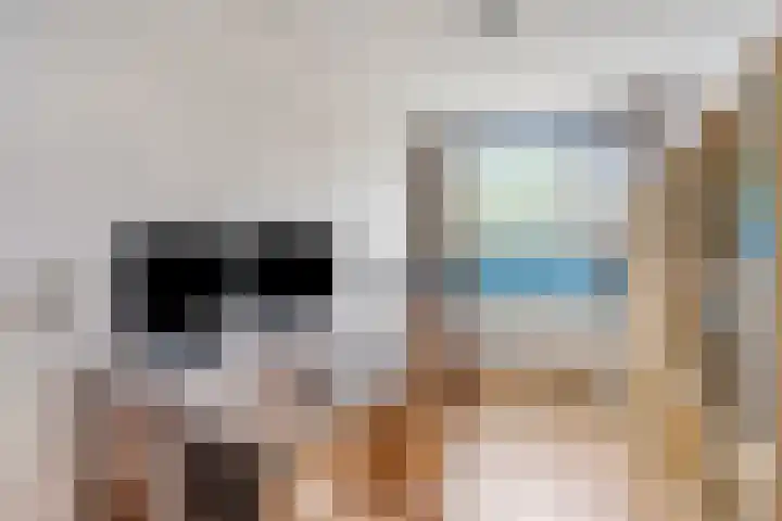 Opaalweg 36 Oss thumbnail 15