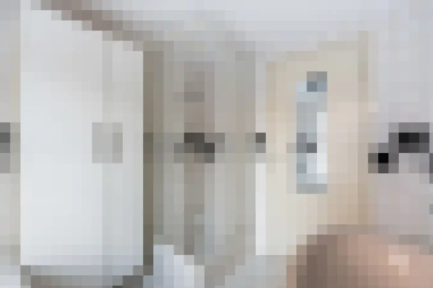 Opaalweg 36 Oss thumbnail 21