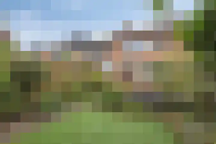 Opaalweg 36 Oss thumbnail 25