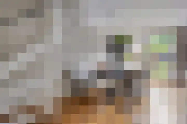 Opaalweg 52 Oss thumbnail 12