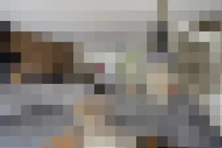 Opaalweg 52 Oss thumbnail 13