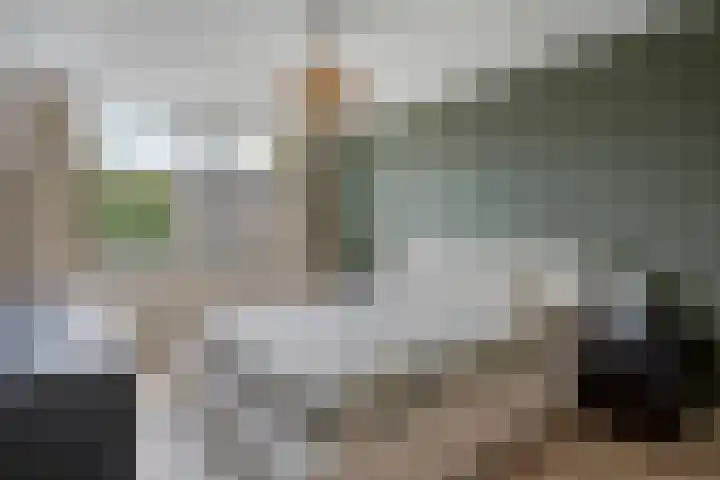 Opaalweg 52 Oss thumbnail 19