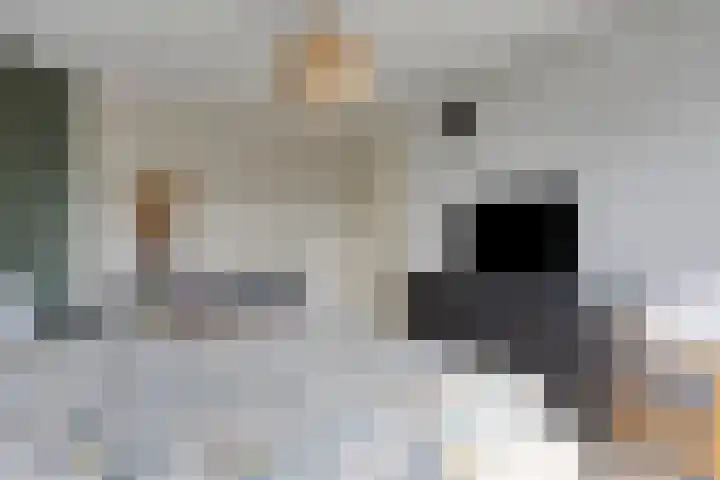 Opaalweg 52 Oss thumbnail 20