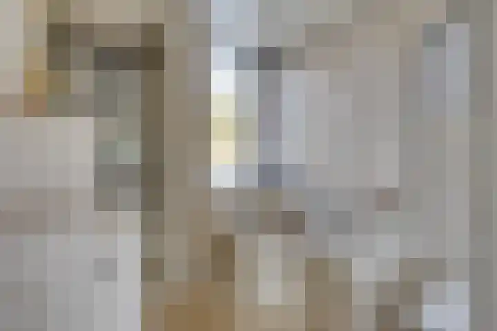 Opaalweg 52 Oss thumbnail 24