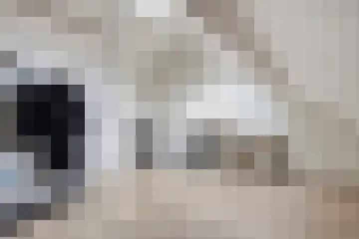 Opaalweg 52 Oss thumbnail 27